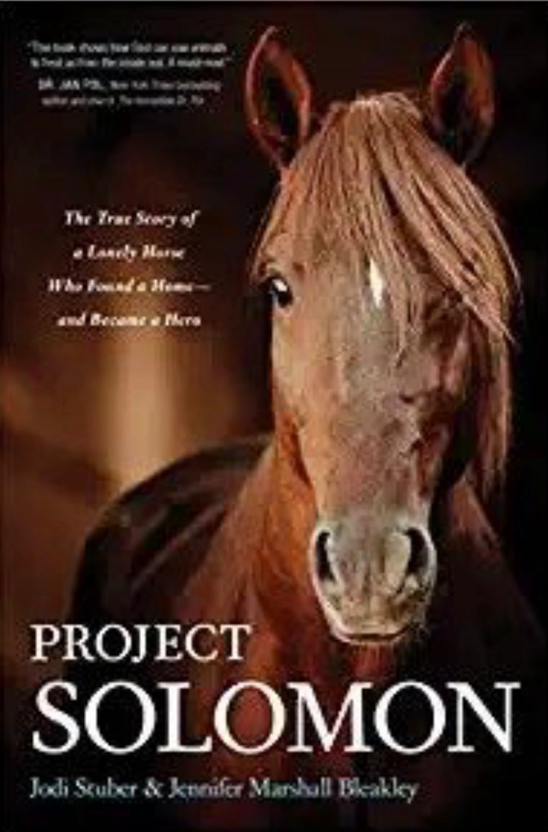 Project Solomon The True Story of a Lonely Horse Who Found a Home--And Became a Hero