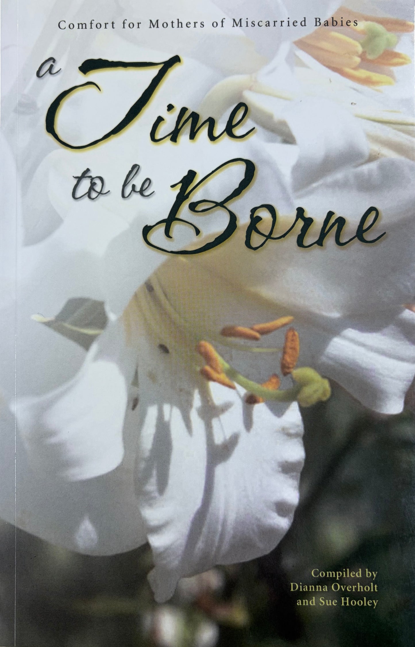 A Time to be Borne Comfort for Mothers of Miscarried Babies