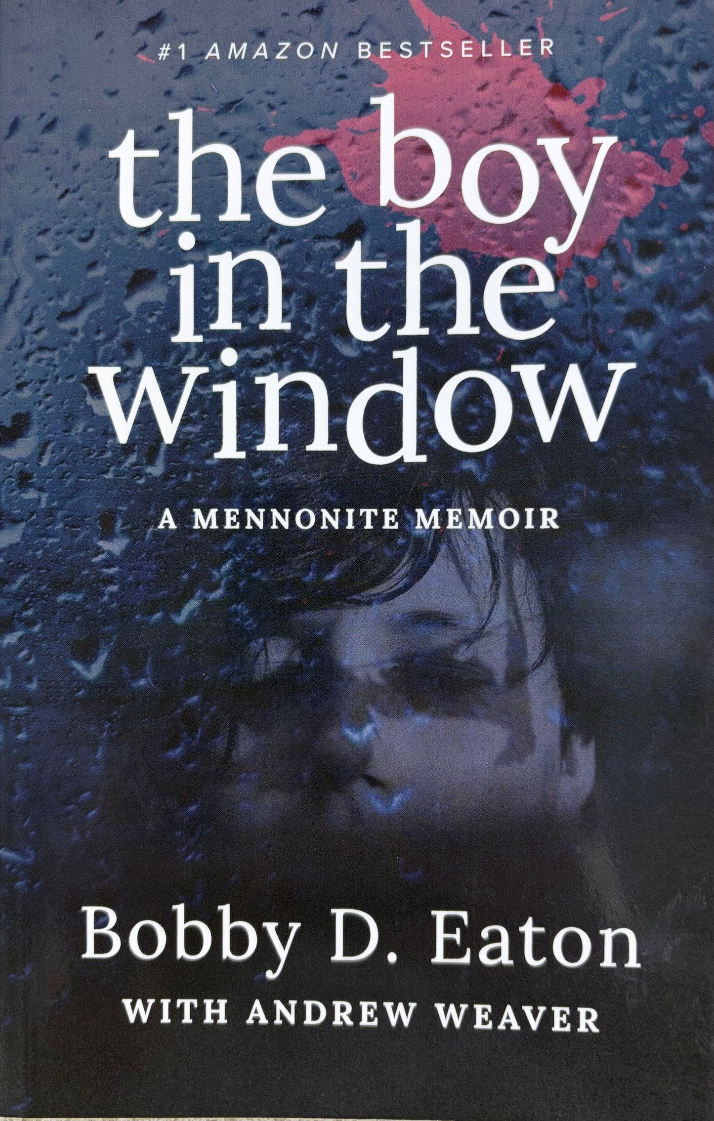The Boy in the Window