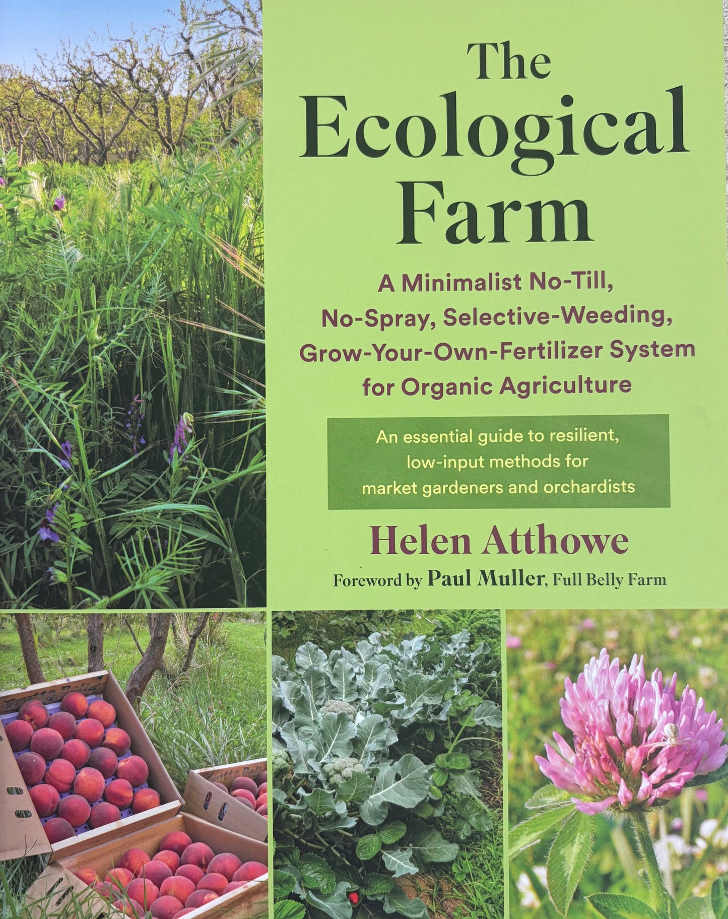 The Ecological Farm A Minimalist No-Till, No-Spray, Selective-Weeding, Grow-Your-Own-Fertilizer System for Organic Agriculture