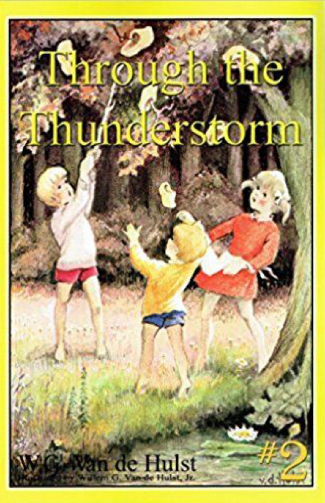 Through the Thunderstorm