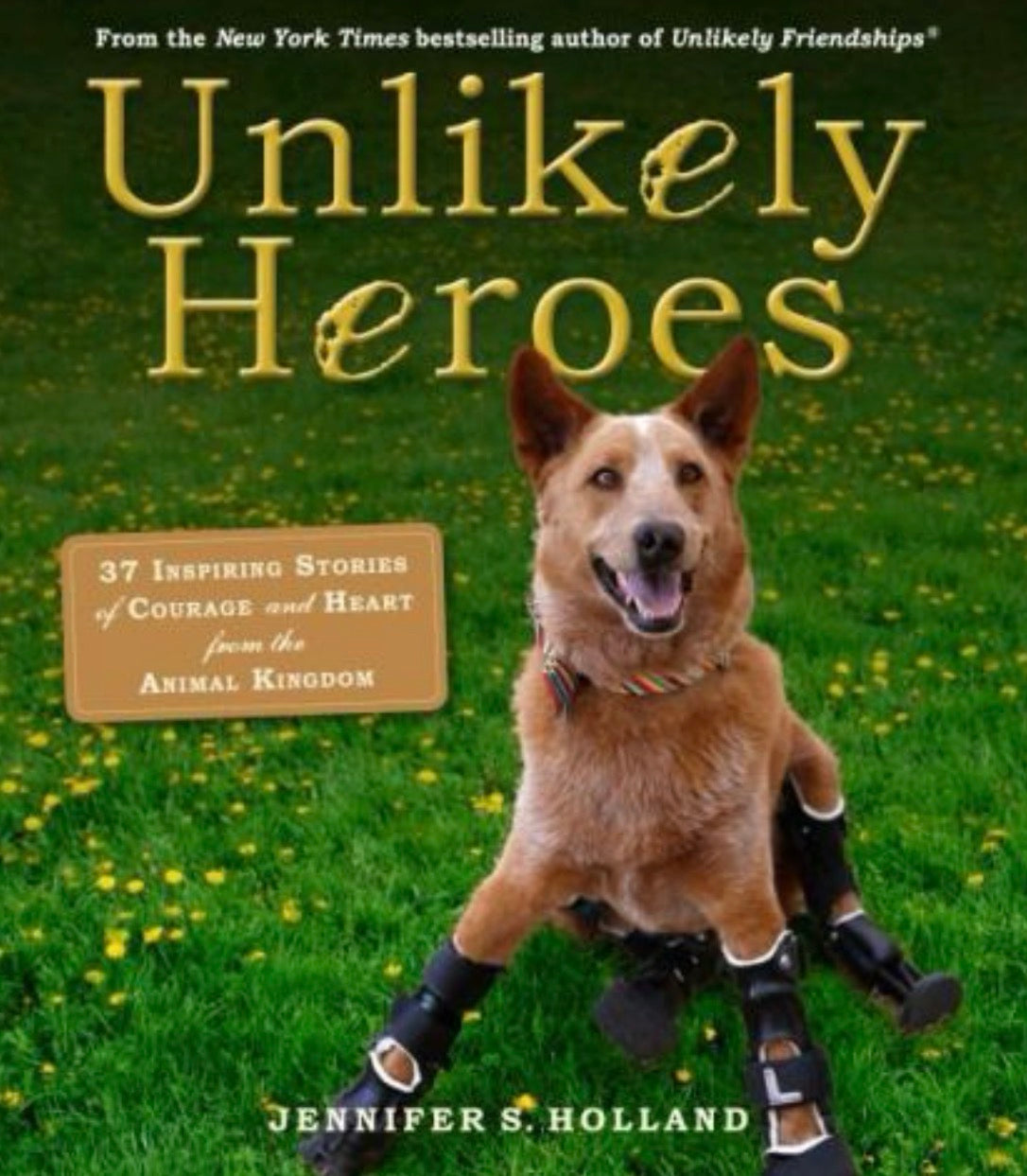Unlikely Heroes 37 Inspiring Stories of Courage and Heart from the Animal Kingdom