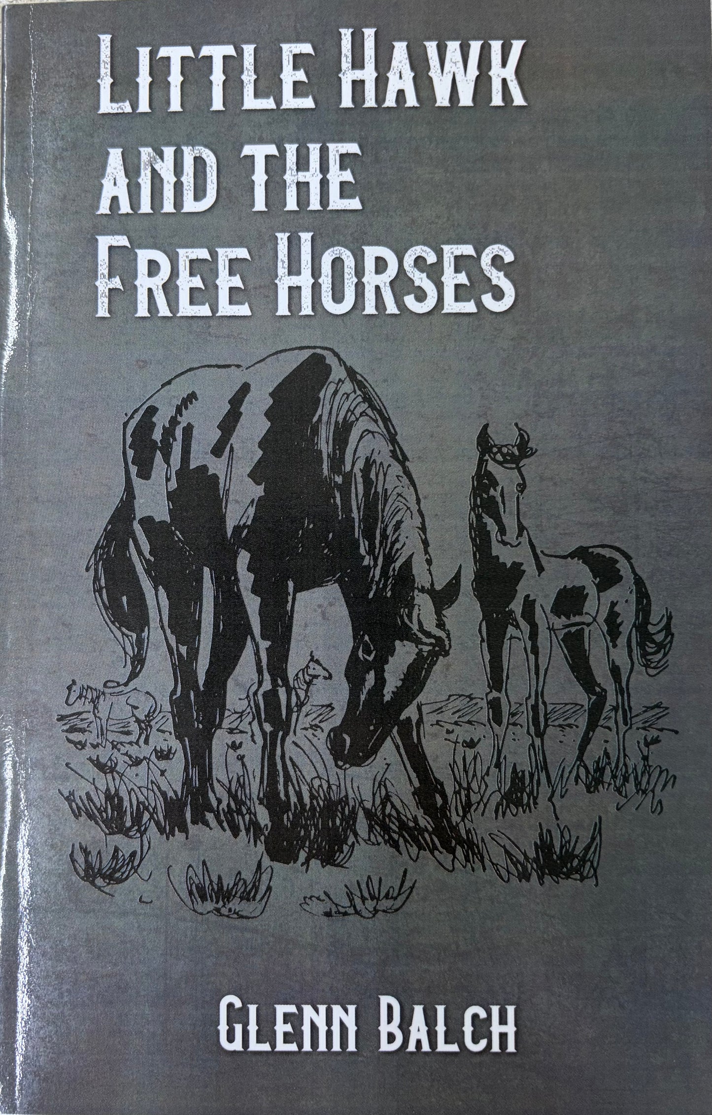 Little Hawk and the Free Horse