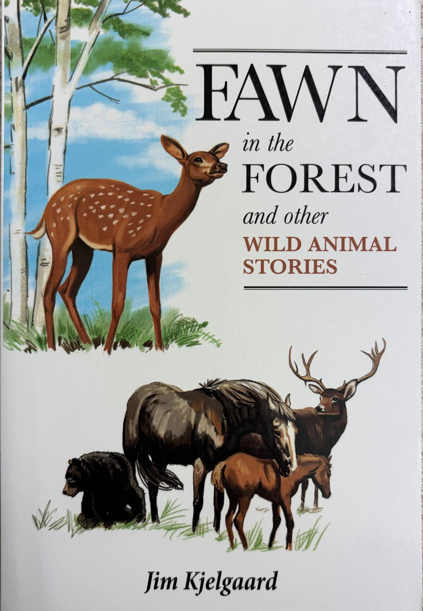 Fawn in the Forest And Other Wild Animal Stories