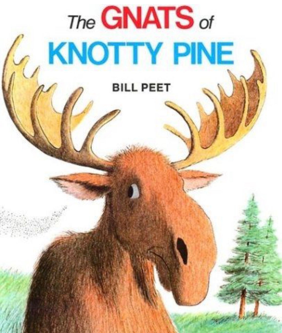 The Gnats of Knotty Pine