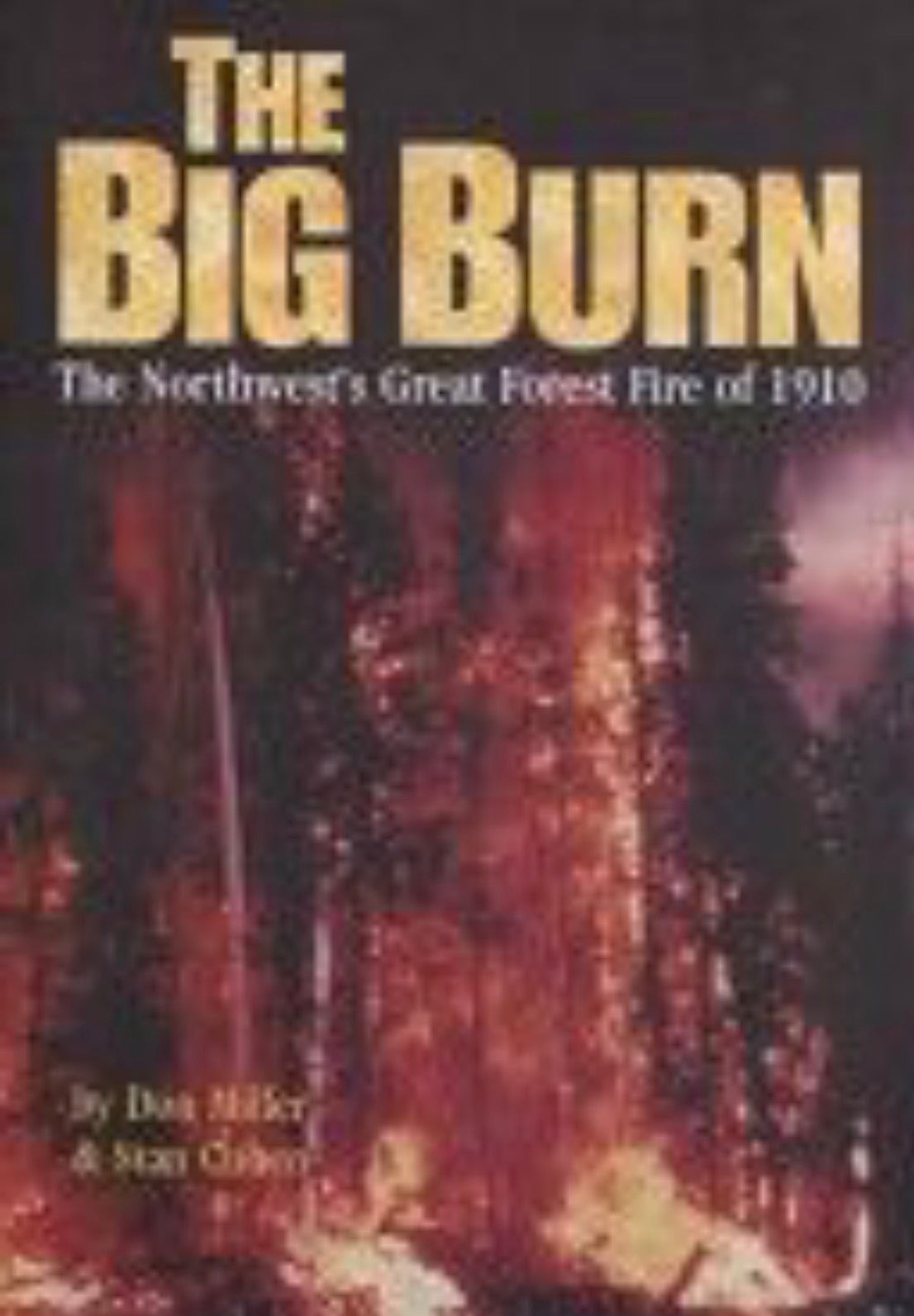 The Big Burn The Northwest's Forest Fire of 1910