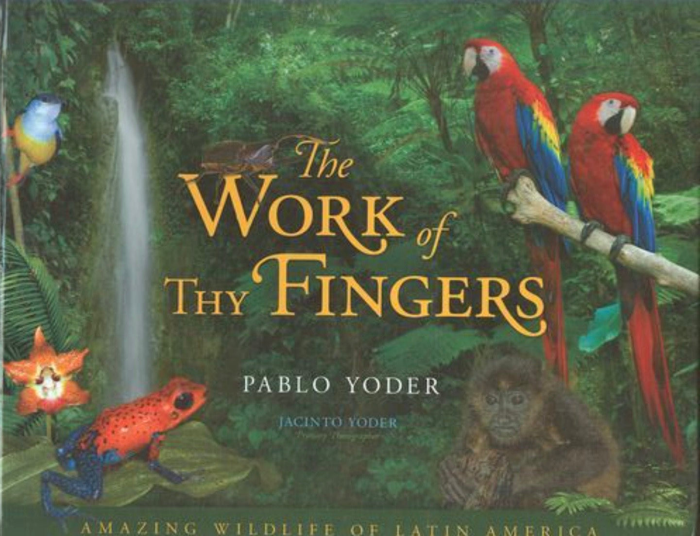 The Work of Thy Fingers