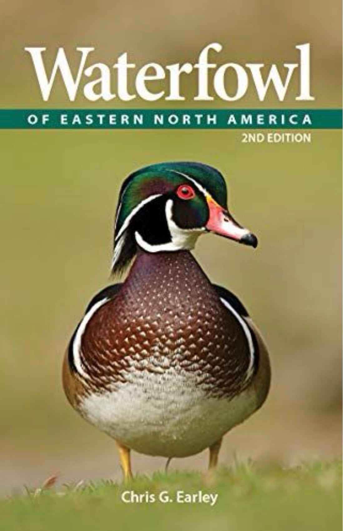 Waterfowl of Eastern North America