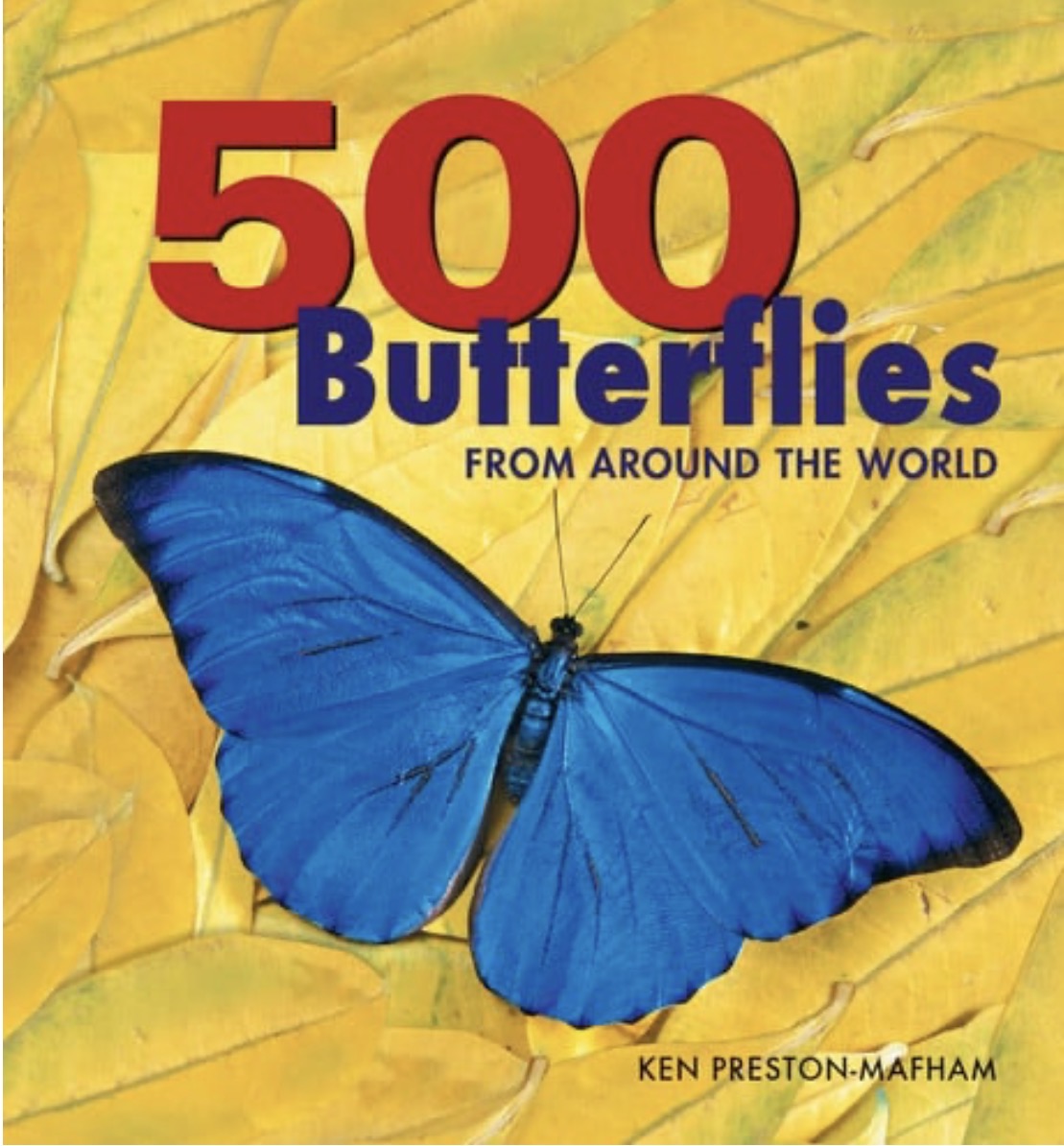 500 Butterflies From Around the World