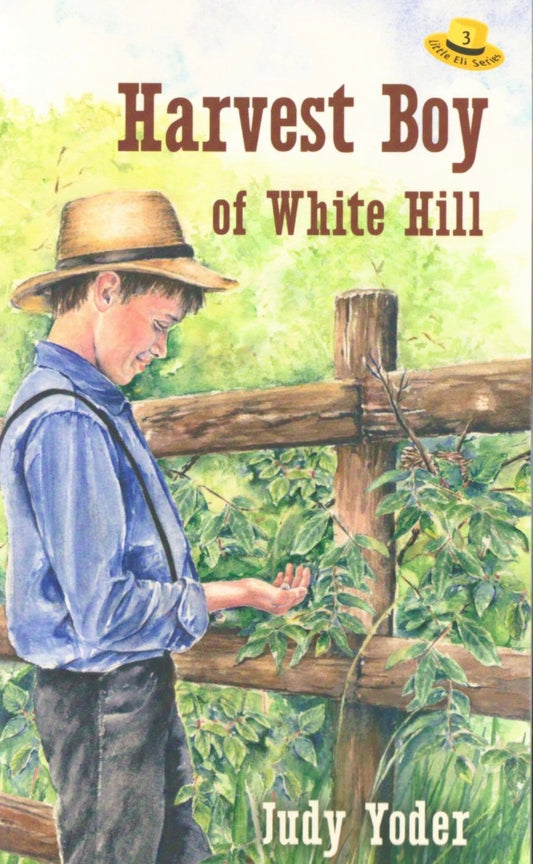 Harvest Boy of White Hill