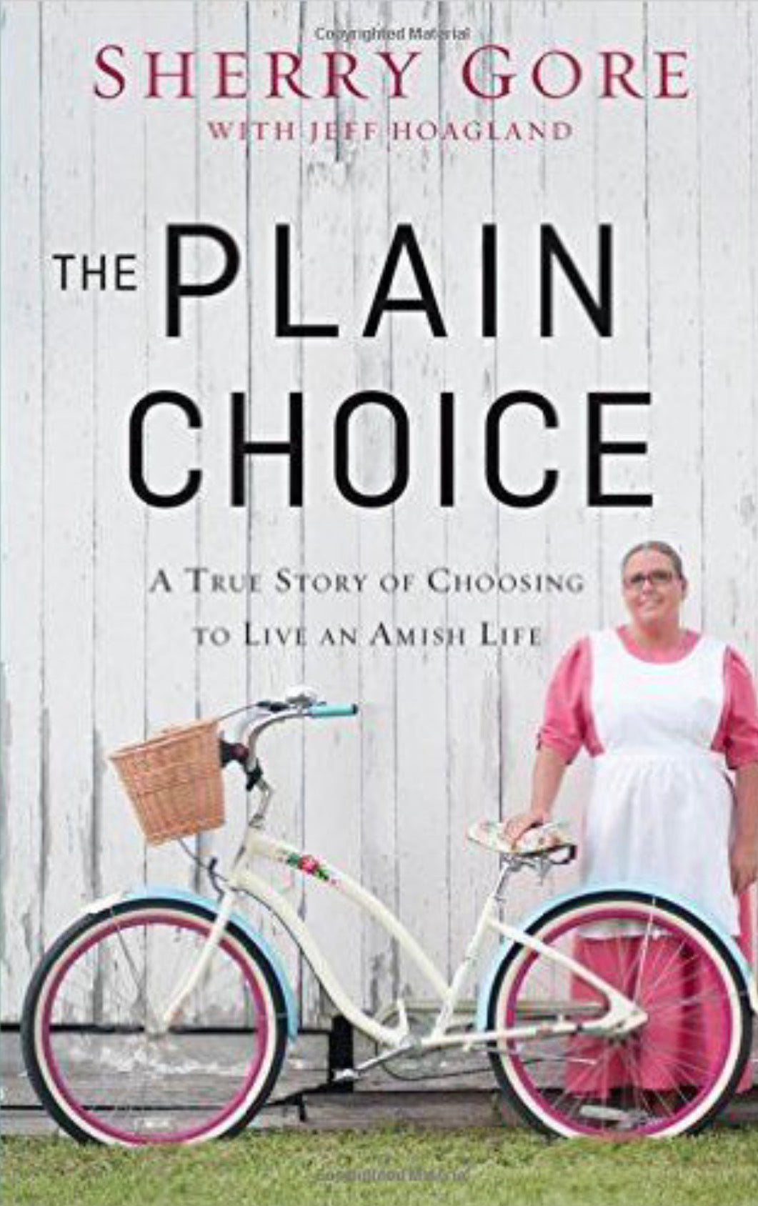 The Plain Choice A True Story of Choosing to Live an Amish Life