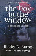 The Boy in the Window