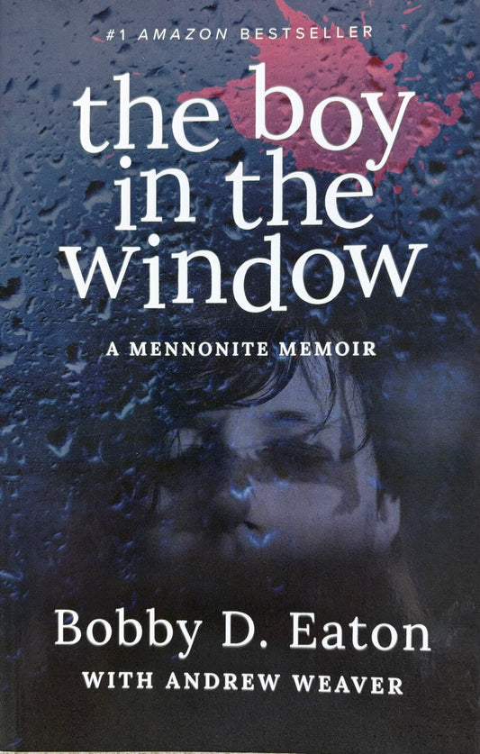 The Boy in the Window