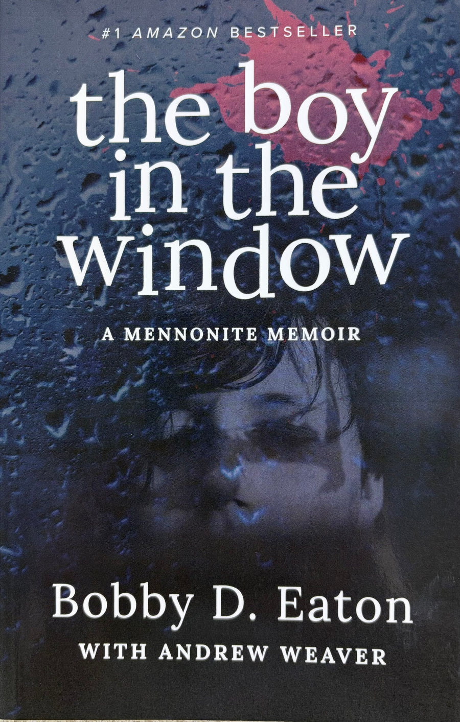 The Boy in the Window