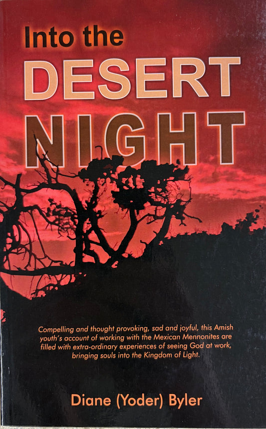 Into the Desert Night