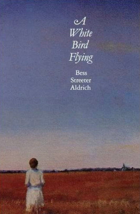 A White Bird Flying