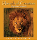 Magnificent Mammals