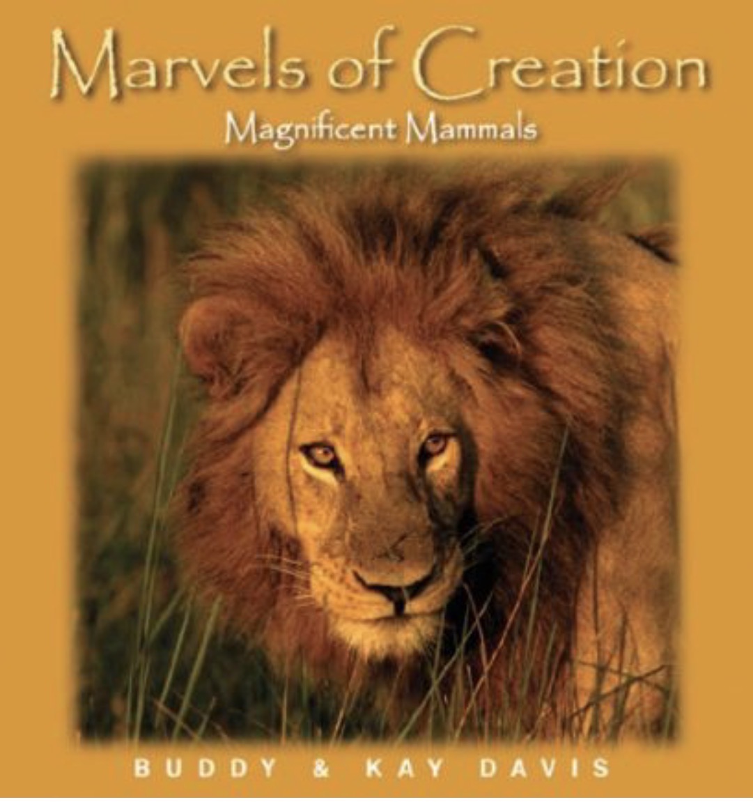 Magnificent Mammals