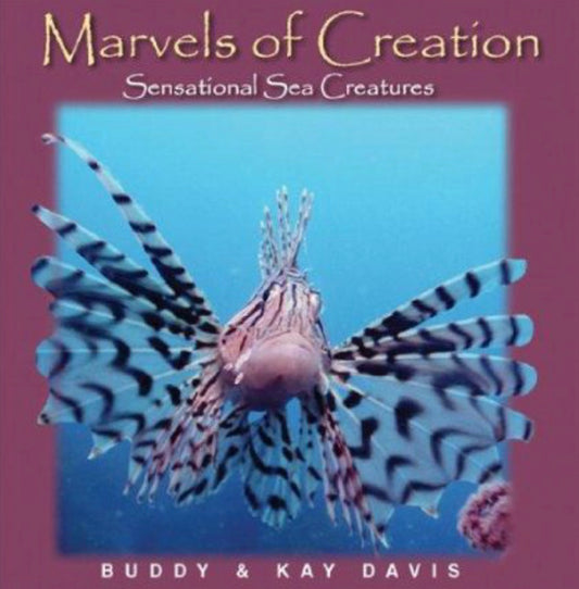 Sensational Sea Creatures
