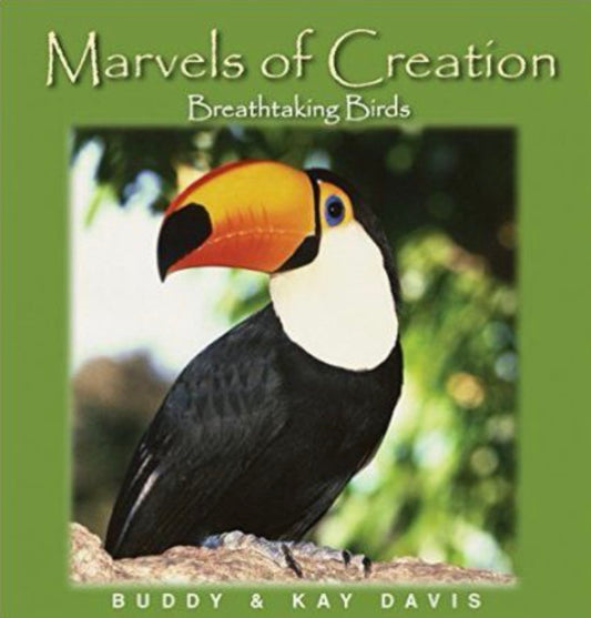 Breathtaking Birds