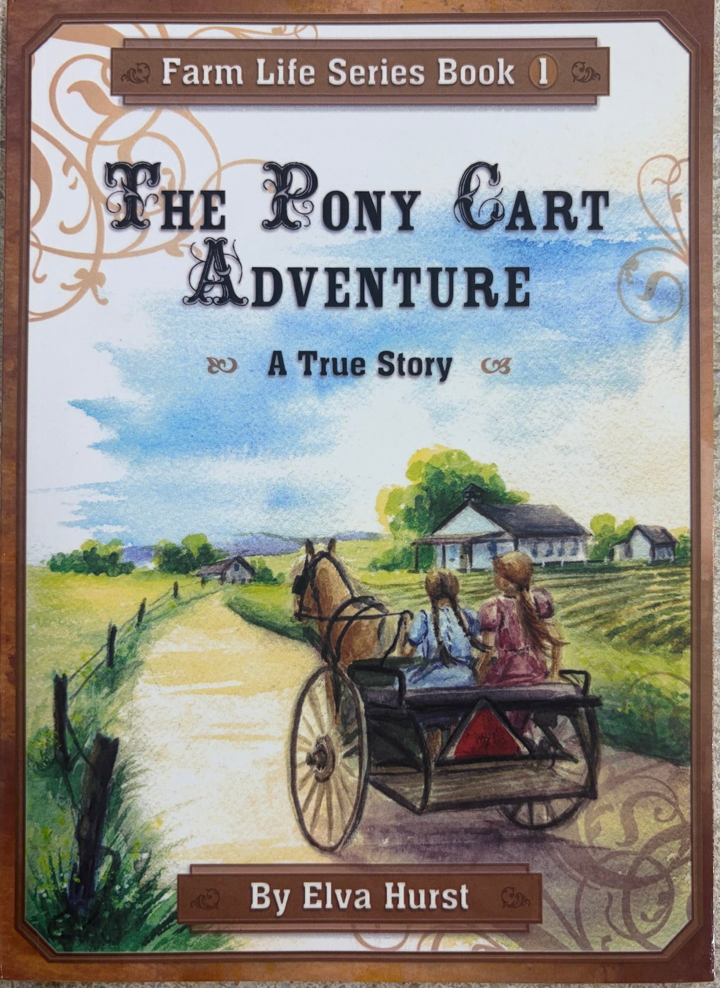 The Pony Cart Adventure A True Story