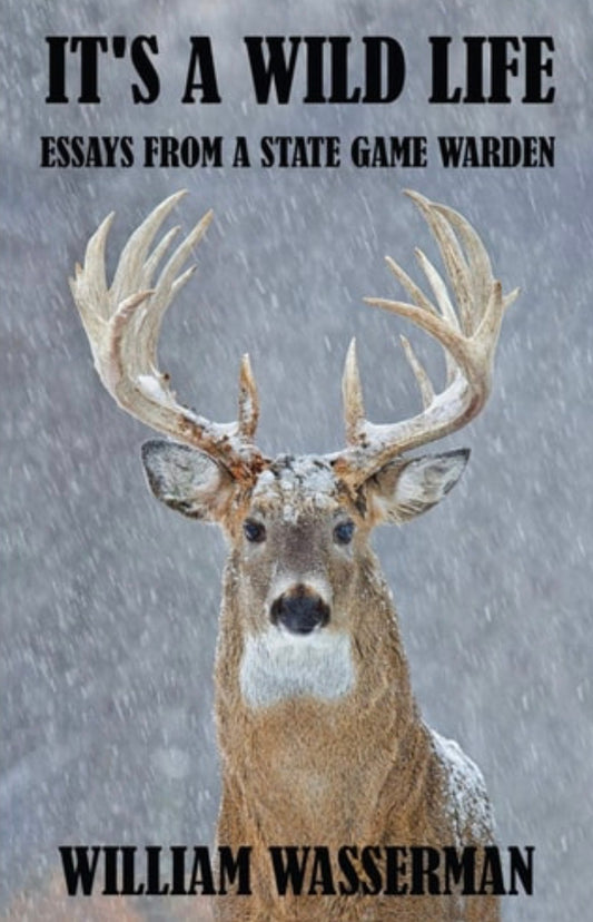 It's a Wild Life Essays from a State Game Warden