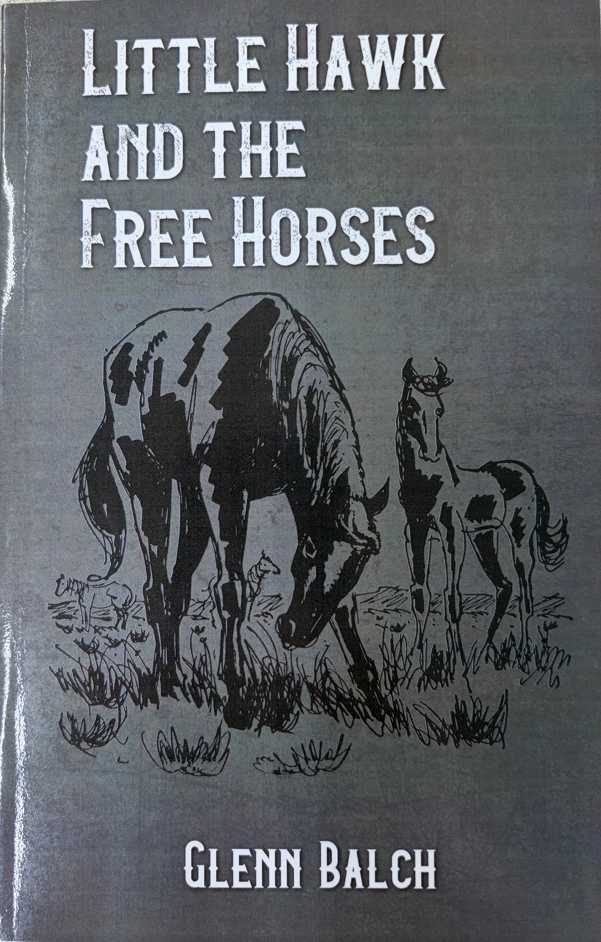 Little Hawk and the Free Horse