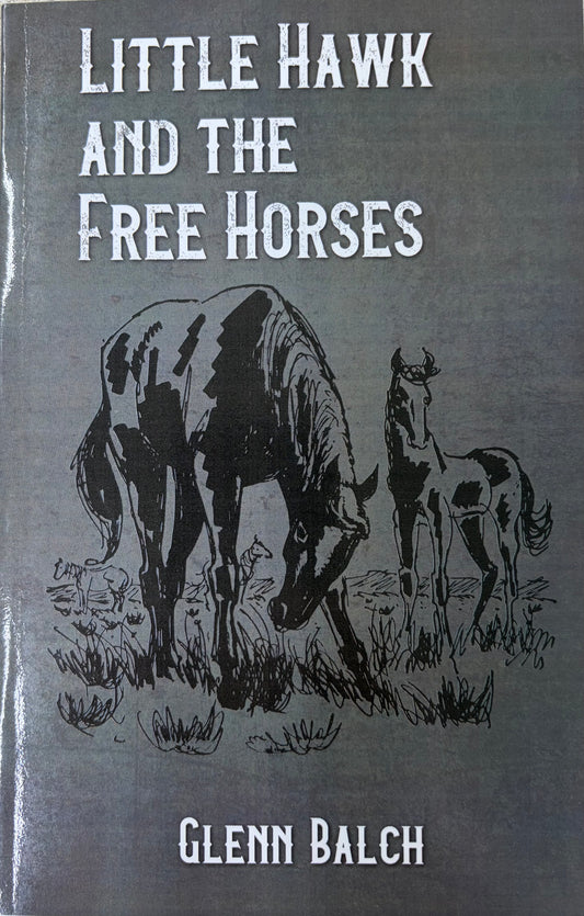 Little Hawk and the Free Horse