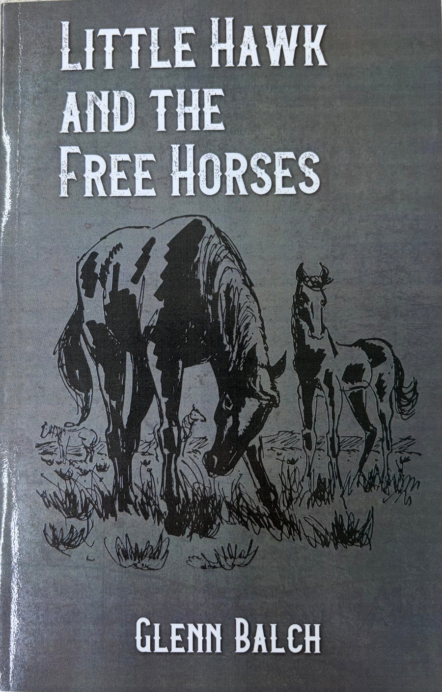 Little Hawk and the Free Horse