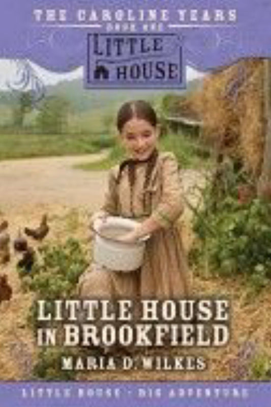 Little House in Brookfield