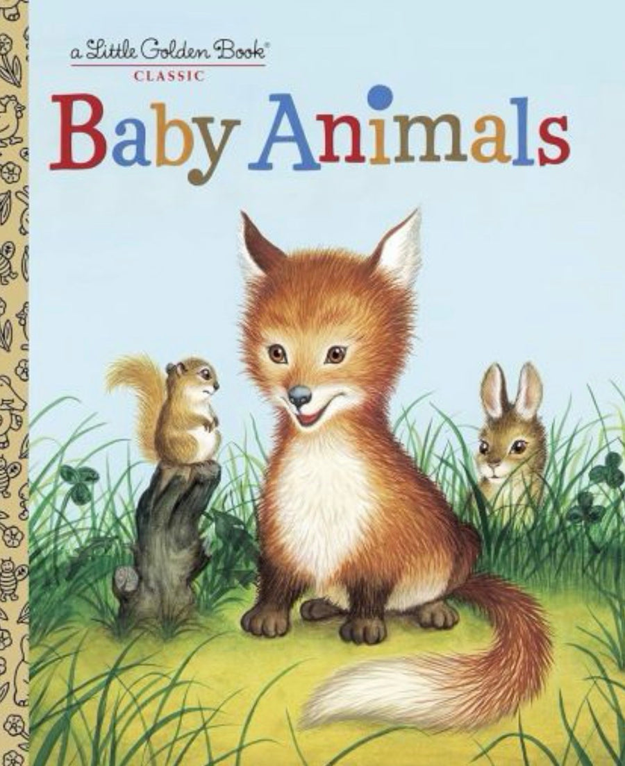 Baby Animals