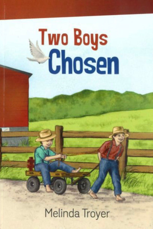 Two Boys Chosen
