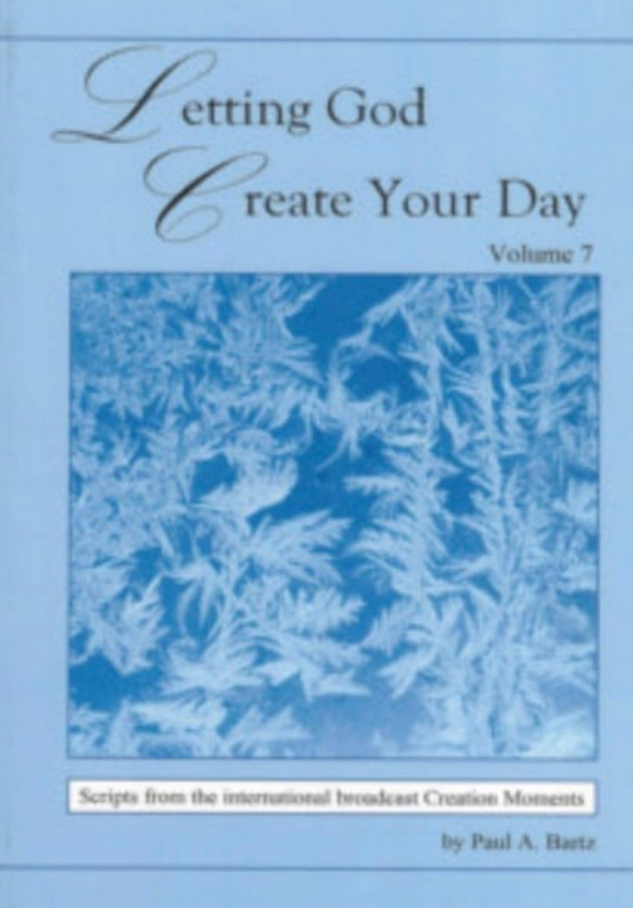 Letting God Create Your Day Volume 7