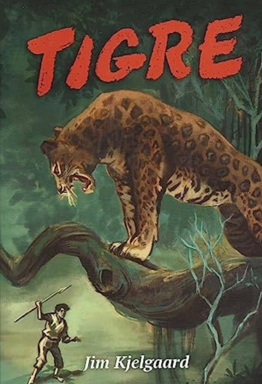 Tigre