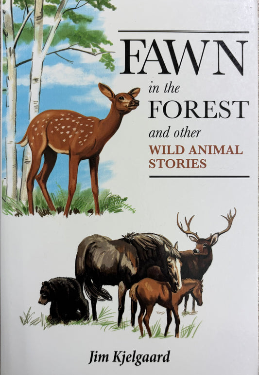 Fawn in the Forest And Other Wild Animal Stories