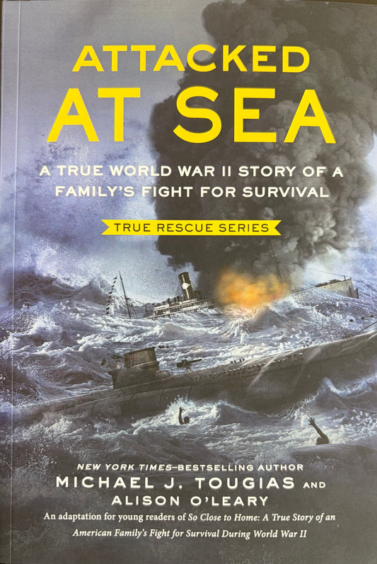 Attacked At Sea
