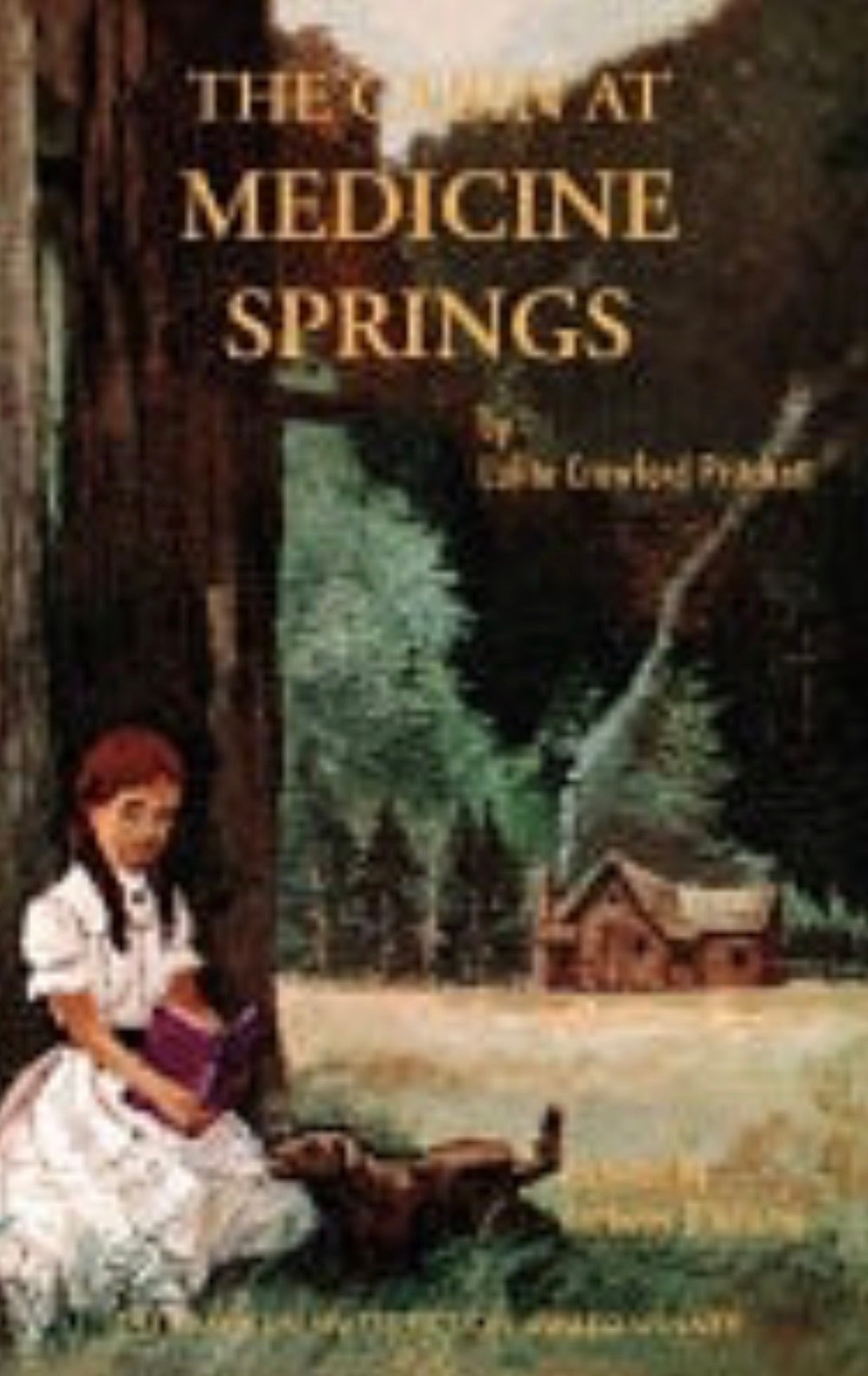 The Cabin at Medicine Springs