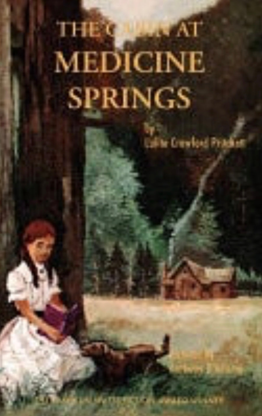 The Cabin at Medicine Springs