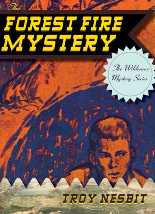 The Forest Fire Mystery
