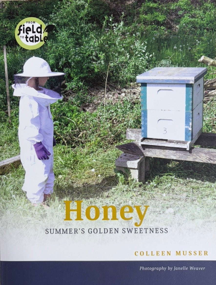 Honey - Summer's Golden Sweetness