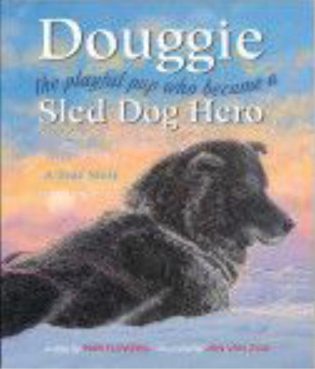 Douggie The Playful Pup Who Became a Sled Dog Hero