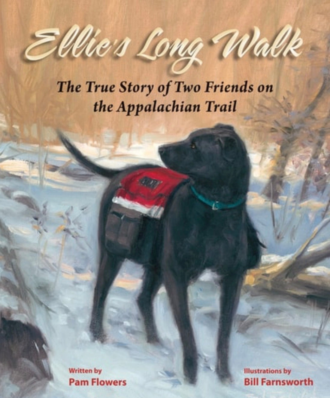 Ellie's Long Walk The True Story of Two Friends on the Appalachian Trail