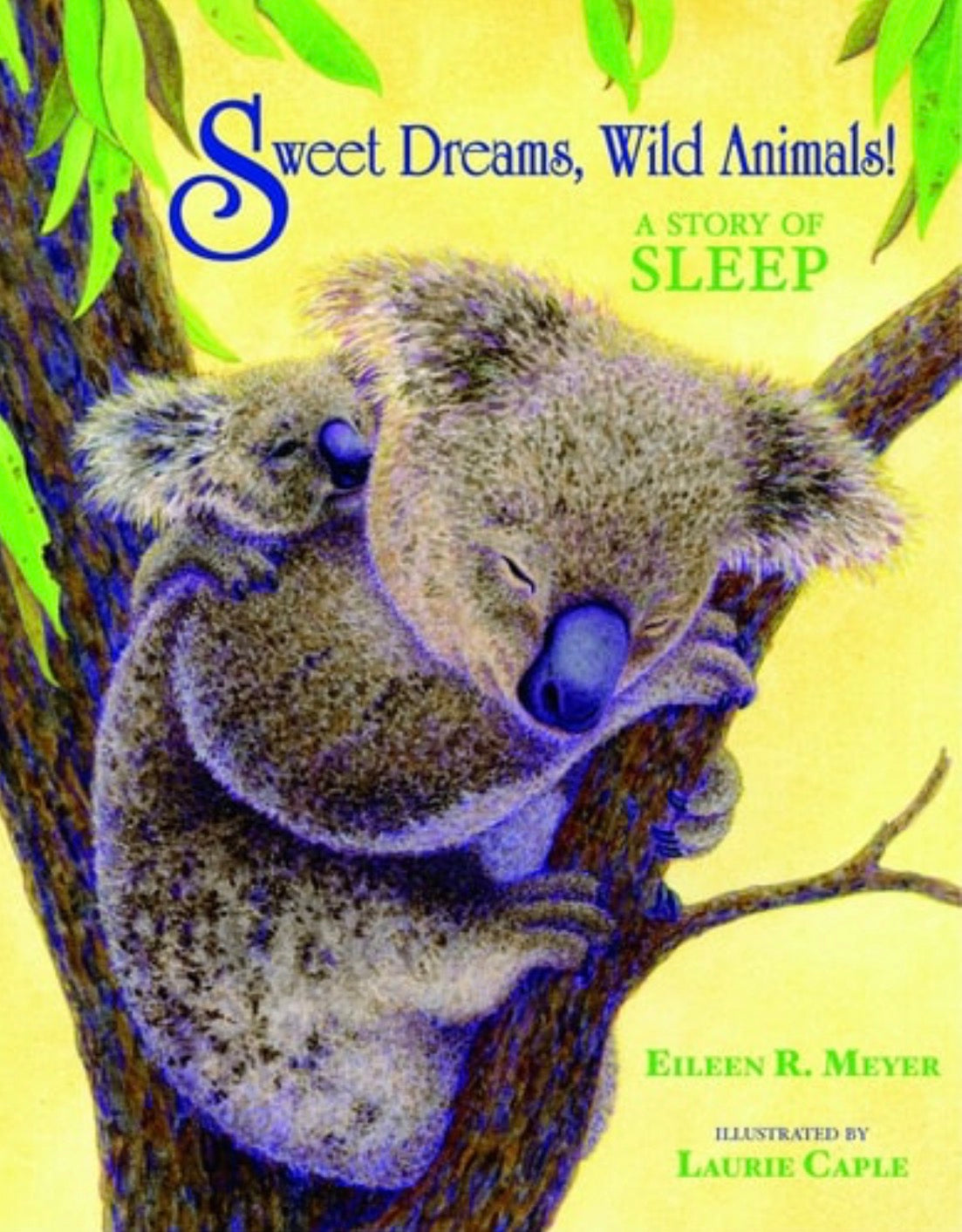 Sweet Dreams, Wild Animals! A Story of Sleep