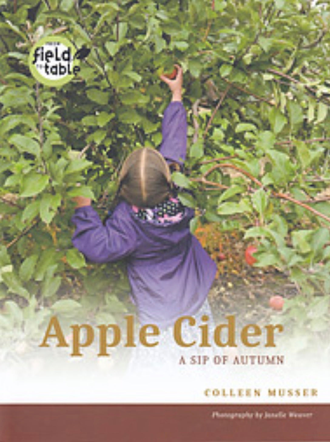 Apple Cider, A Sip of Autumn