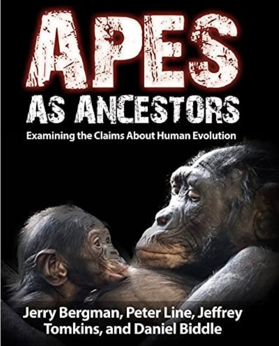 Apes as Ancestors Examining the Claims about Human Evolution