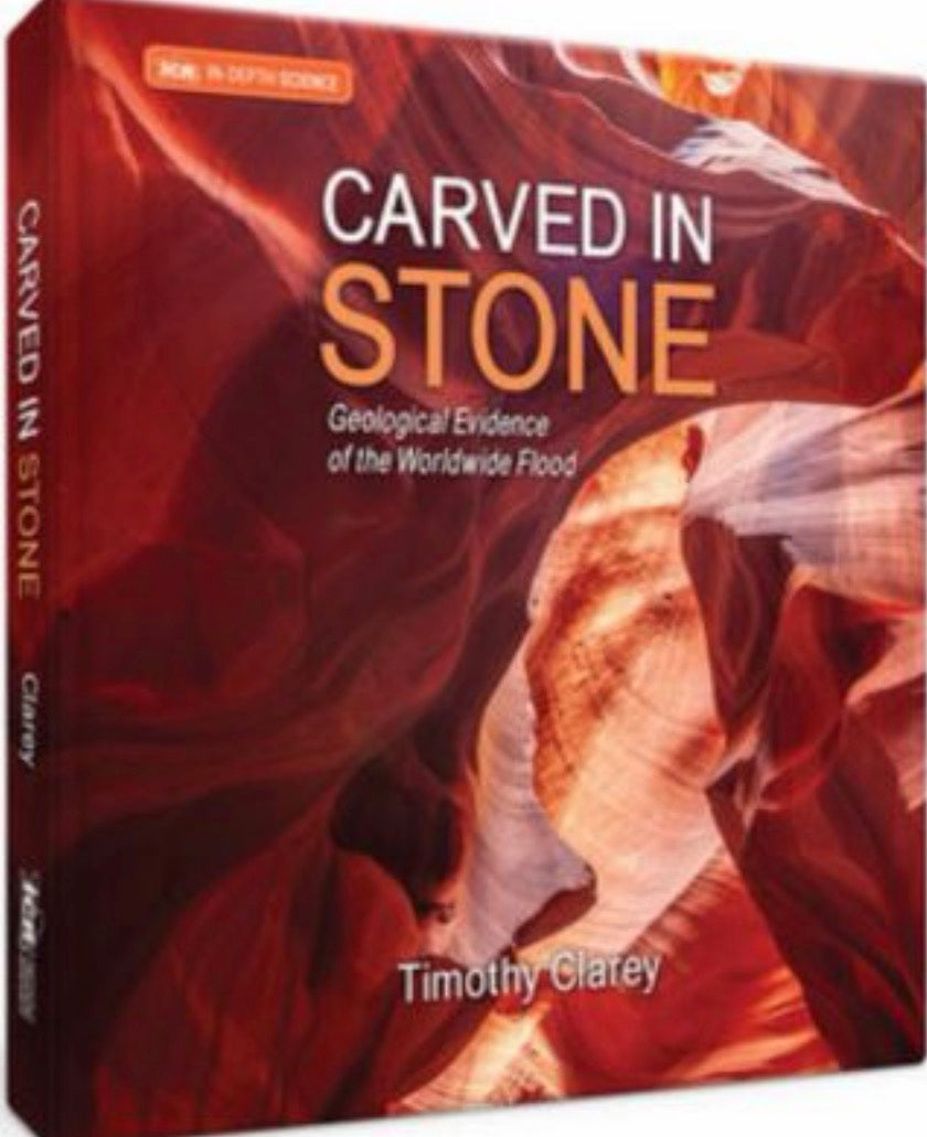 Carved in Stone Geological Evidence of the Worldwide Flood
