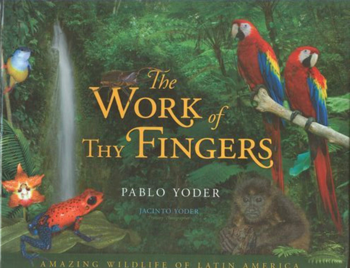 The Work of Thy Fingers