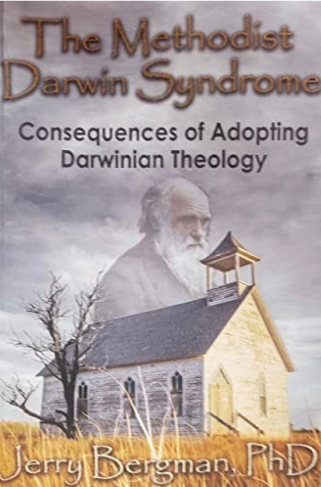 The Methodist Darwin Syndrome Consequences of Adopting Darwinian Theology