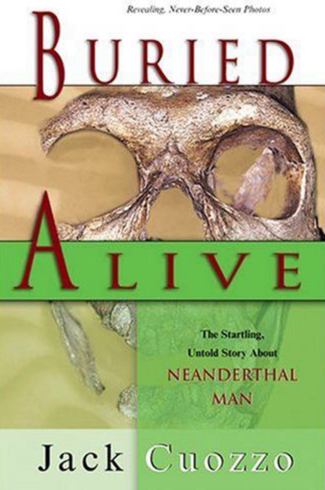 Buried Alive The Startling, Untold Story About Neanderthal Man