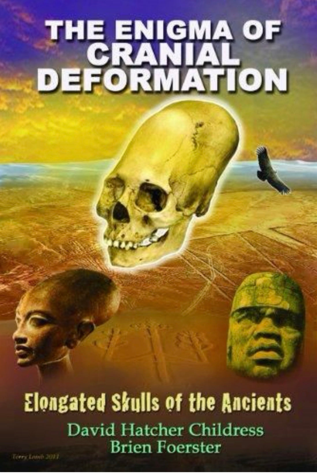 The Enigma of Cranial Deformation Elongated Skulls of the Ancients